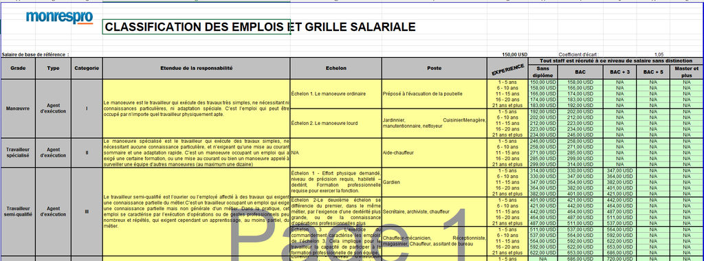 Modèle Classification des emplois en RDC