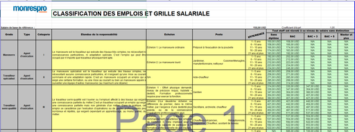 [M13289] Modèle Classification des emplois en RDC